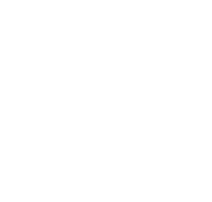 Logo inversé